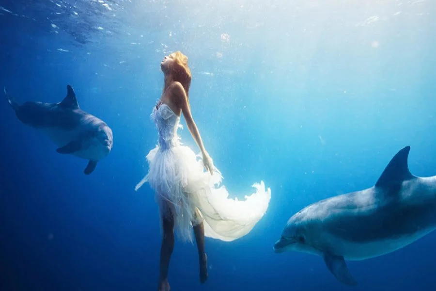 Dolphin House Hurghada Day Tour