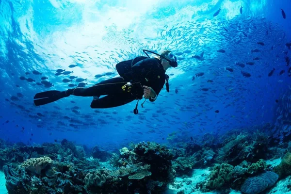 diver-101-scaled-1-q9czvcqvxozbqb9evosk0p4kmbvk3zhmb8rbll19ps